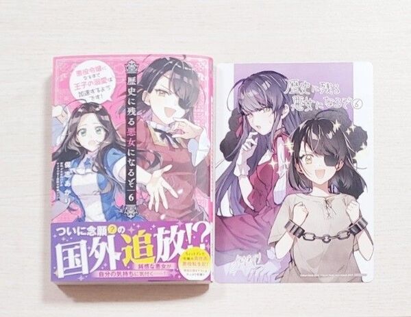 歴史に残る悪女になるぞ 悪役令嬢になるほど王子の溺愛は加速するようです! 6