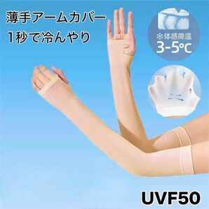 アームカバー ゴルフストッキング 秋冬 紫外線対策 UPF50 UVカット 紫外線 アームカバー ゴルフストッキング ゴルフ