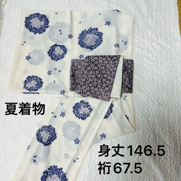 夏着物 白着物 桜 花 花散らし ポリエステル 洗える着物普段着物 浴衣