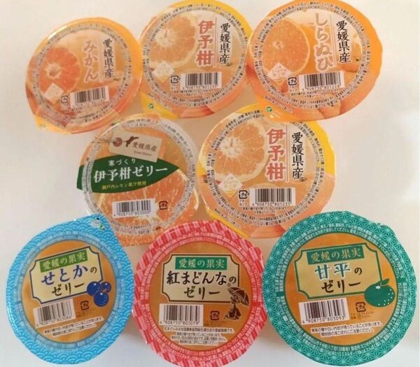 えひめ中央農業協同組合 国産果肉入りフルーツゼリー8点セット 紅まどんな 甘平