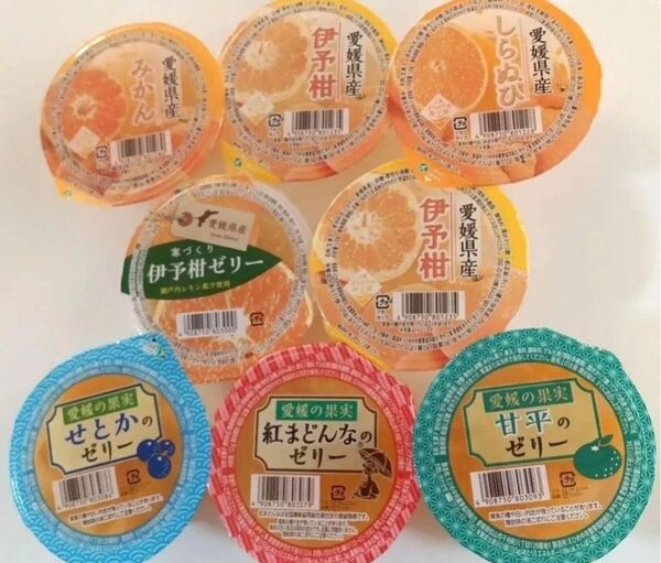 えひめ中央農業協同組合 国産果肉入りフルーツゼリー8点セット 紅まどんな 甘平