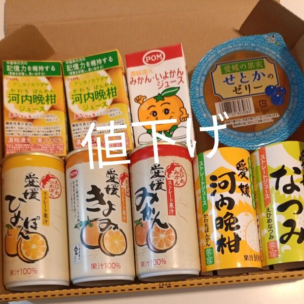 愛媛県産 無添加ジュース きよみ。しらぬひ。温州みかん。河内晩柑。なつみ。せとかゼリー 詰め合わせセット