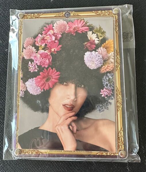 工藤静香 プロマイドケース(パープル)+プロマイド1種 ファンクラブイベント2025 『cherish meeting』