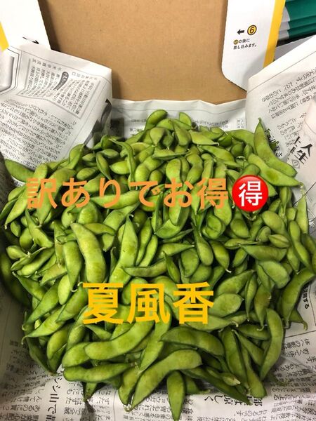 本日朝収穫!発送!茶豆風味の枝豆