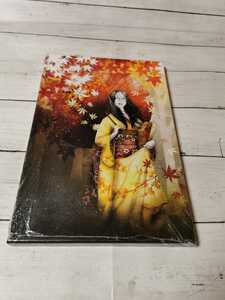 Art hand Auction Poster Art Panel Impression Wall Hanging Painting Wall Canvas Female Autumn Leaves, printed matter, poster, others