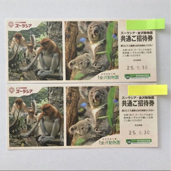 ズーラシア・金沢動物園 共通ご招待券 2枚セット
