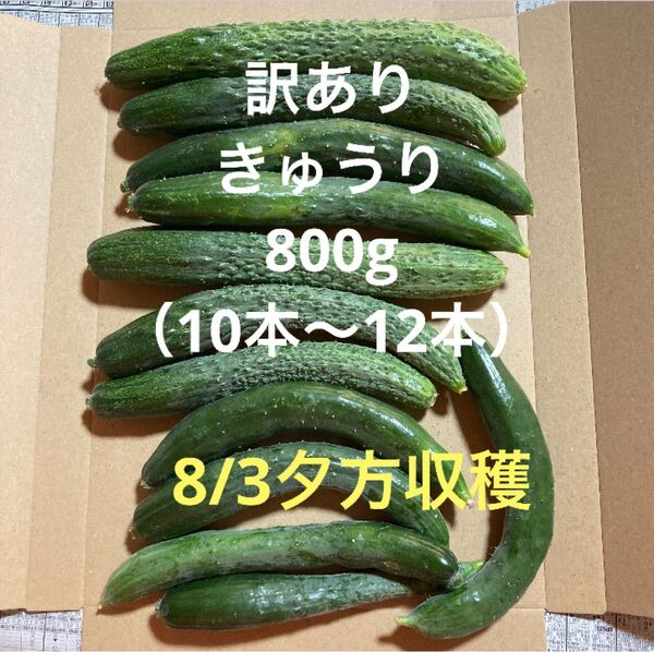 訳ありきゅうり 800g (10本〜12本程)秋田県産
