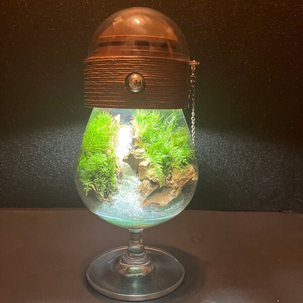 ☆苔テラリウム☆気孔石 滝 ガラス製 自作木製蓋ライト付き