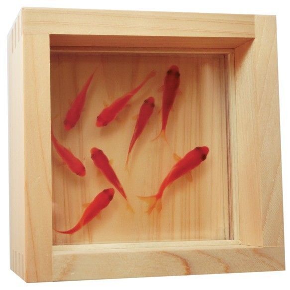 アクリル 3D 金魚アート 咲 プレゼント ギフト 贈り物 夏 結婚 フィギュア 動物 生き物