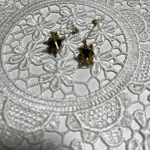 立体星型イヤリング