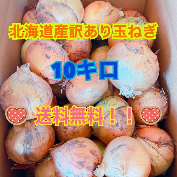 北海道産新玉ねぎ規格外10キロ送料込!