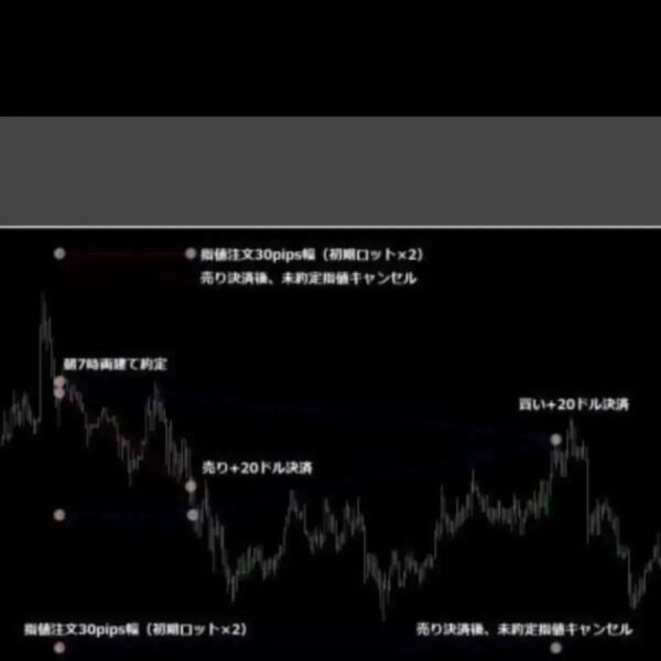 ★FX驚異の両建てトレード戦略を自動売買で行うEA(口座フリー版)買いと売りの指値を同時に出して動いた方向にエントリー片方は自動取