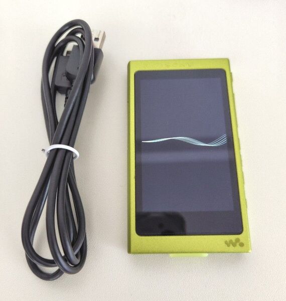 SONY ウォークマン Aシリーズ NW-A35(Y)