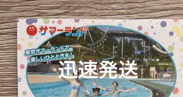 東京サマーランド 1dayパス1枚 夏も利用可