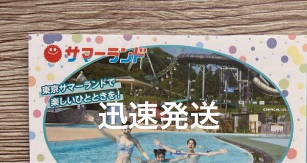 東京サマーランド 1dayパス1枚 夏も利用可