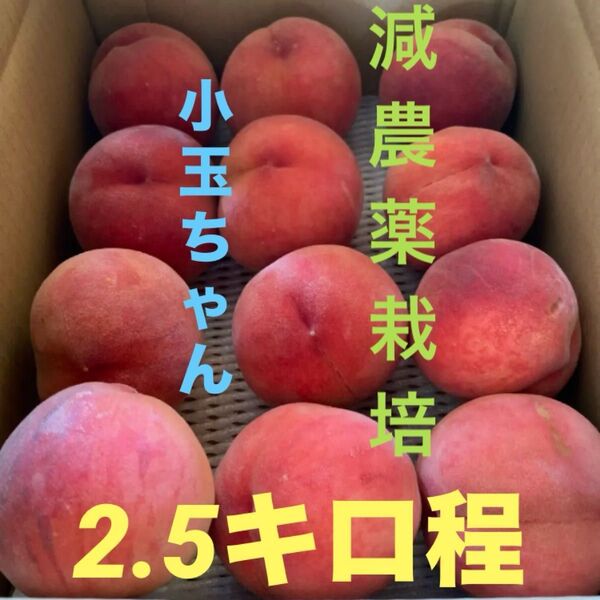 減農薬栽培山形県東根市産桃!酷暑にも耐えたあかつき♪小玉傷無し訳あり混合 2.5k前後