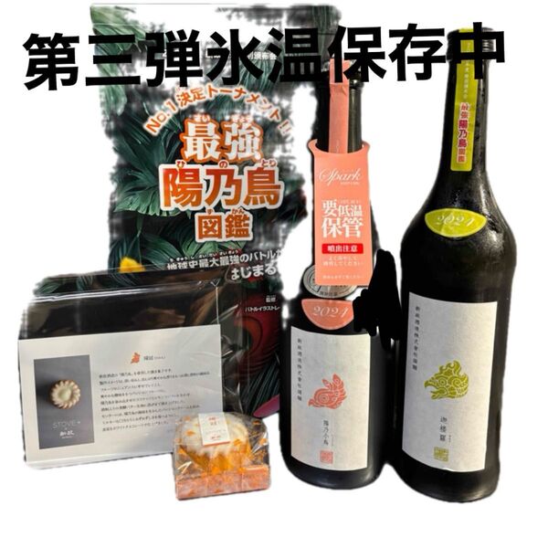 新政頒布会 第三弾 2025