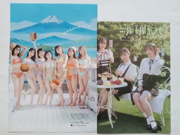 #ババババンビ2 切り抜き 32ページ・両面ポスター