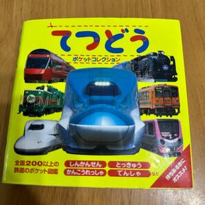 てつどうポケットコレクション しんかんせん とっきゅう かんこうれっしゃ でんしゃなど (マイポケットコレクション 2)