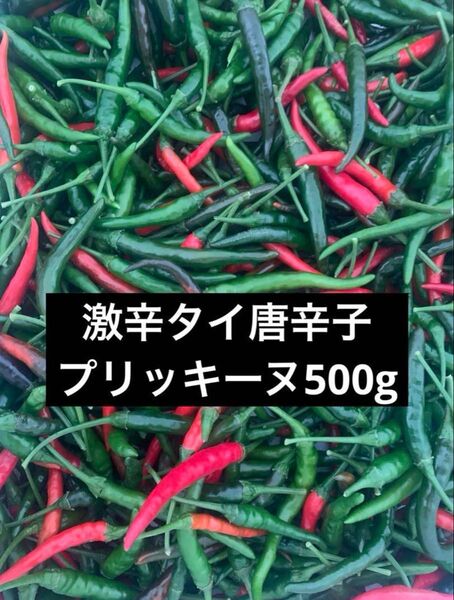 自宅栽培のタイ唐辛子(プリッキーヌ) 新鮮 生唐辛子 辛口 激辛 ★★箱込み500g★★