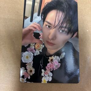 Stray Kids Hollow タワレコ特典カード リノ 新品