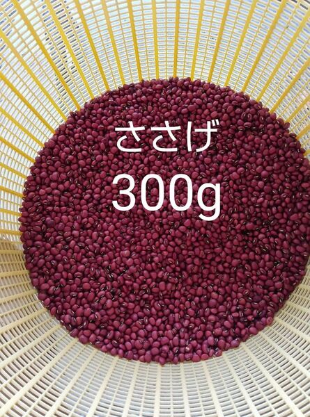 ◇ささげ 300g 栽培期間中農薬不使用