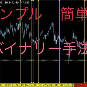 バイナリーオプション 手法 高勝率
