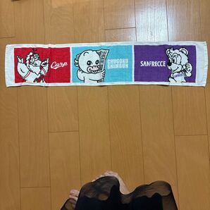 広島東洋カープ 中国新聞 サンフレッチェ広島 タオル