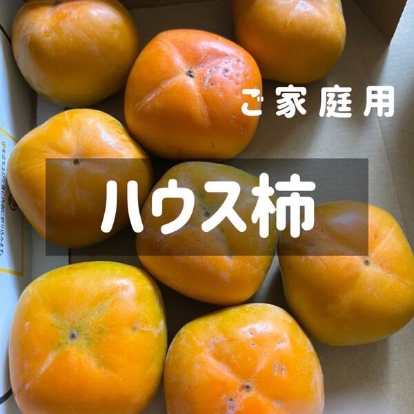 ハウス柿 和歌山県産 1kg以上 ご家庭用 初採り小さい目