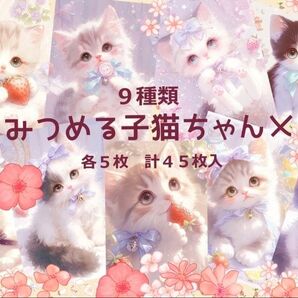 9種類45枚入 みつめる子猫ちゃんメモ