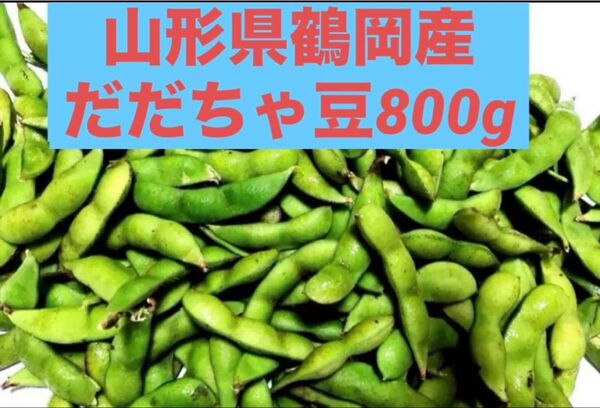 山形県鶴岡産だだちゃ豆(茶豆系枝豆)800g