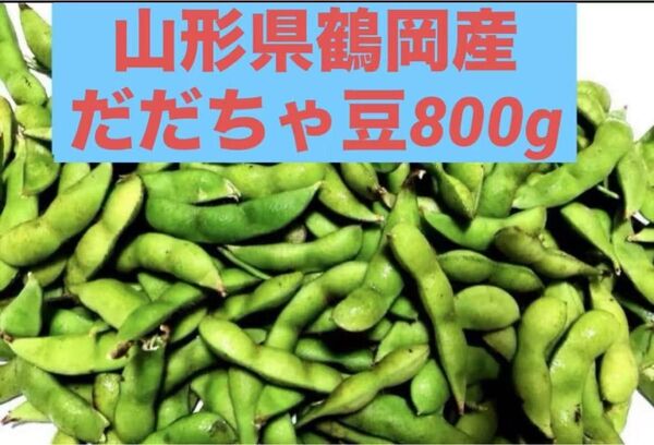 山形県鶴岡産だだちゃ豆(茶豆系枝豆)800g