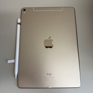 iPad pro +Applepencil