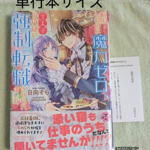 転生したのに魔力ゼロ、王太子の侍従に強制転職させられました (fairy kiss) 日向そら/著