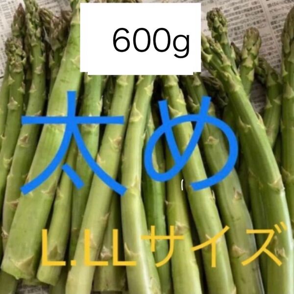 アスパラ 600g 太め ほとんど2L アスパラガス