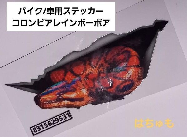 コロニジ コロンビアレインボーボア ステッカー 防水ステッカー 3Dステッカー 車 バイク 爬虫類