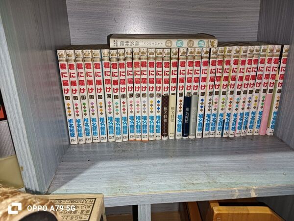 君に届け 1〜30巻+ファンブック 計31冊セット まとめ売り