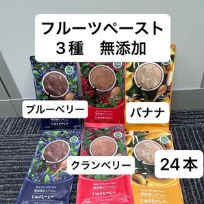 無添加ピュア いすむーじー ブルーベリー クランベリー バナナ フルーツ ペースト 国産 無添加 肉不使用