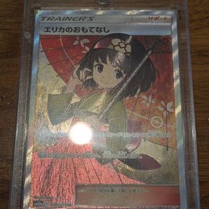 【引退処分】エリカのおもてなしSR