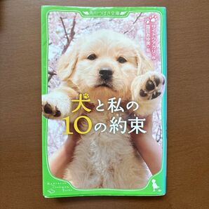 犬と私の10の約束 (角川つばさ文庫 Bさ1-1) サイトウアカリ/作 霜田あゆ美/絵
