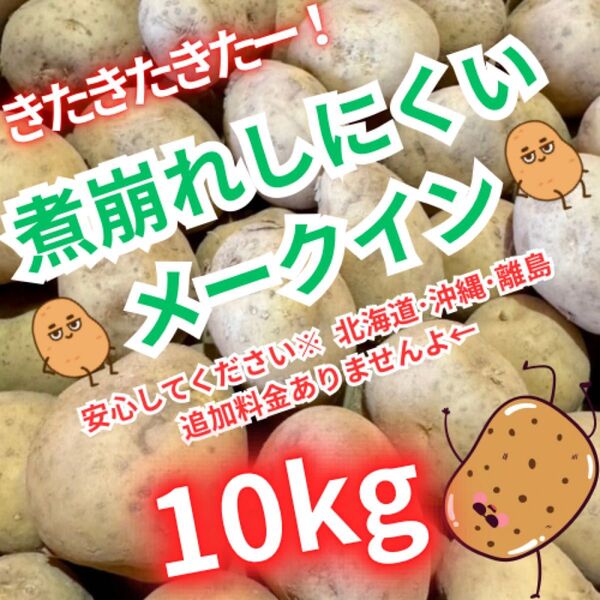 113お買い得 じゃがいも メークイン 10kg M~Lサイズ 数量限定