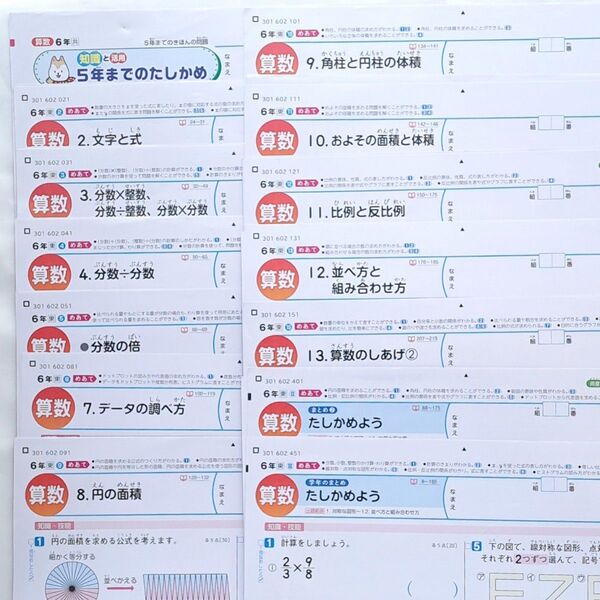 2024年度 小6 算数 カラーテスト 14枚 未記入 新学社 小学校 テスト