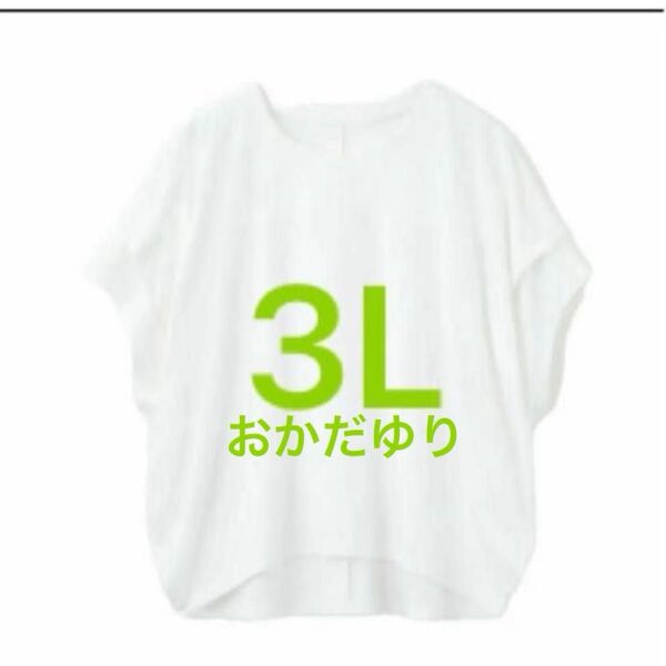 ク・着痩せ 肩タックドルマンプルオーバー Tシャツ おかだゆり 3L ホワイト 大きいサイズ