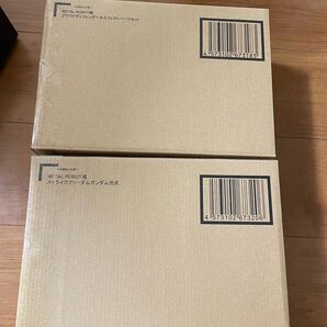 METAL ROBOT魂 ストライクフリーダムガンダム弐式+プラウドディフェンダー&エフェクトパーツ(伝票跡無し)