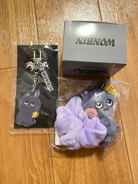 RIIZE ウォンビングッズ ペンライトアクセサリー キーホルダー シュシュ セット売り または個別売り相談可