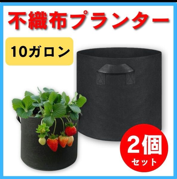 不織布プランター 10ガロン ポット ブラック 家庭菜園 植木鉢カバー 2個