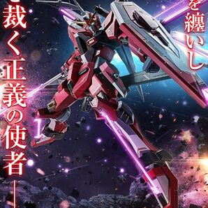 【未開封品】METAL ROBOT魂 <SIDE MS> インフィニットジャスティスガンダム弐式BANDAI