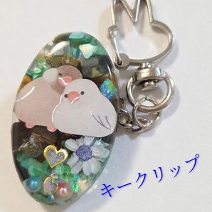 文鳥さんの天然石とドライフラワー入りレジンキークリップ★ 文鳥グッズ 文鳥アクセサリー タイガー文鳥 レジン文鳥