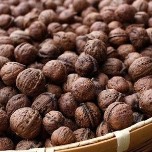 国産鬼ぐるみ20個 大きさ 様々 リハビリやトレーニングに