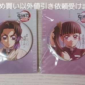 描き下ろしイラスト 75mm 飾れる缶バッジ 胡蝶しのぶ 栗花落カナヲ